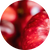 Apple Cider Vinegar Powder