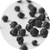 Black Pepper Extract