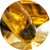EPA (Eicosapentaenoic Acid)