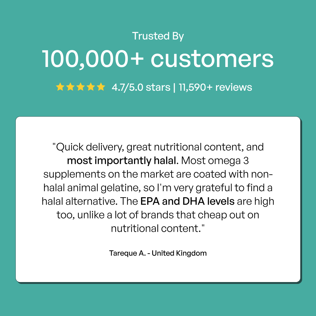 Omega 3 Fish Oil