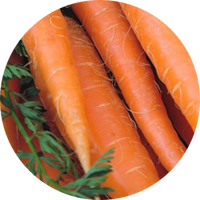 Vitamin A