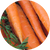 Vitamin A