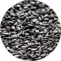Black Seed (Nigella Sativa)