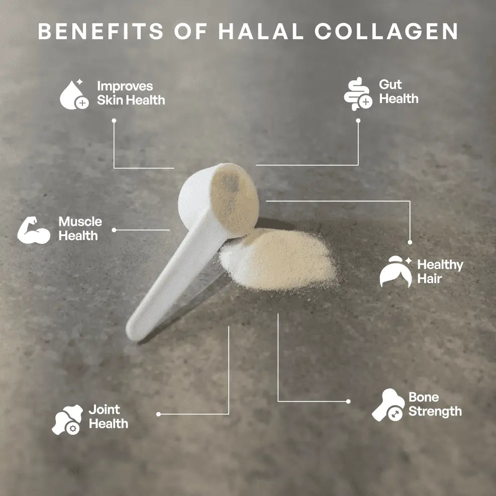 Halal Collagen Protein