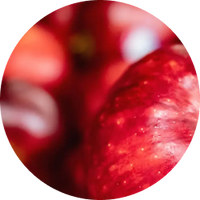 Apple Cider Vinegar Powder