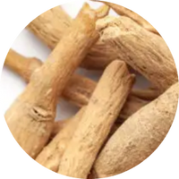 Ashwagandha Extract