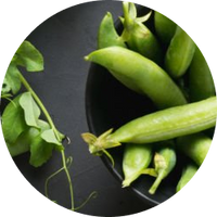 Plant Protein Blend (Pea & Rice)