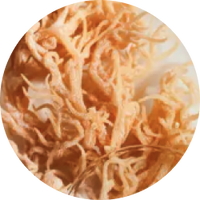 Sea Moss
